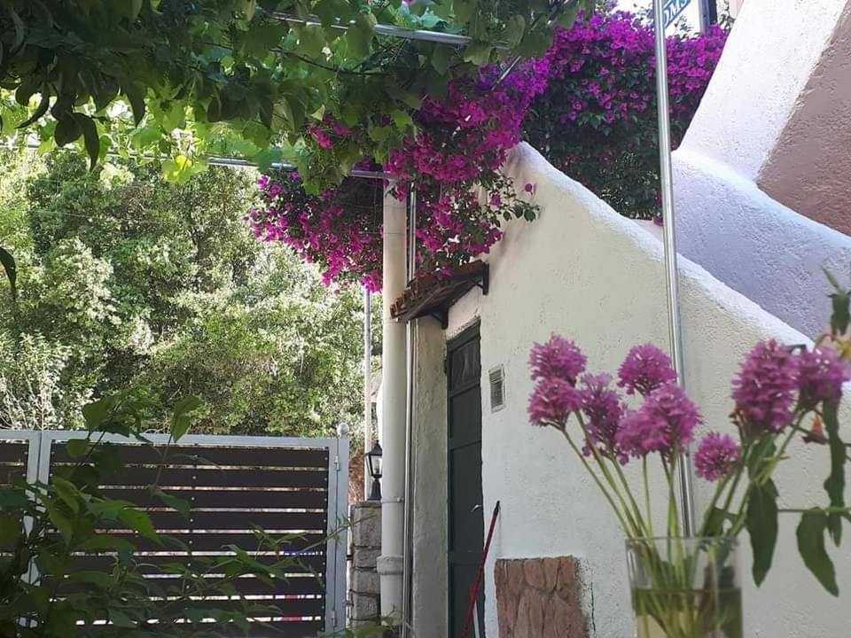 Achilleas Rooms Σύβοτα Εξωτερικό φωτογραφία